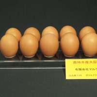 令和６年度農林大臣賞受賞